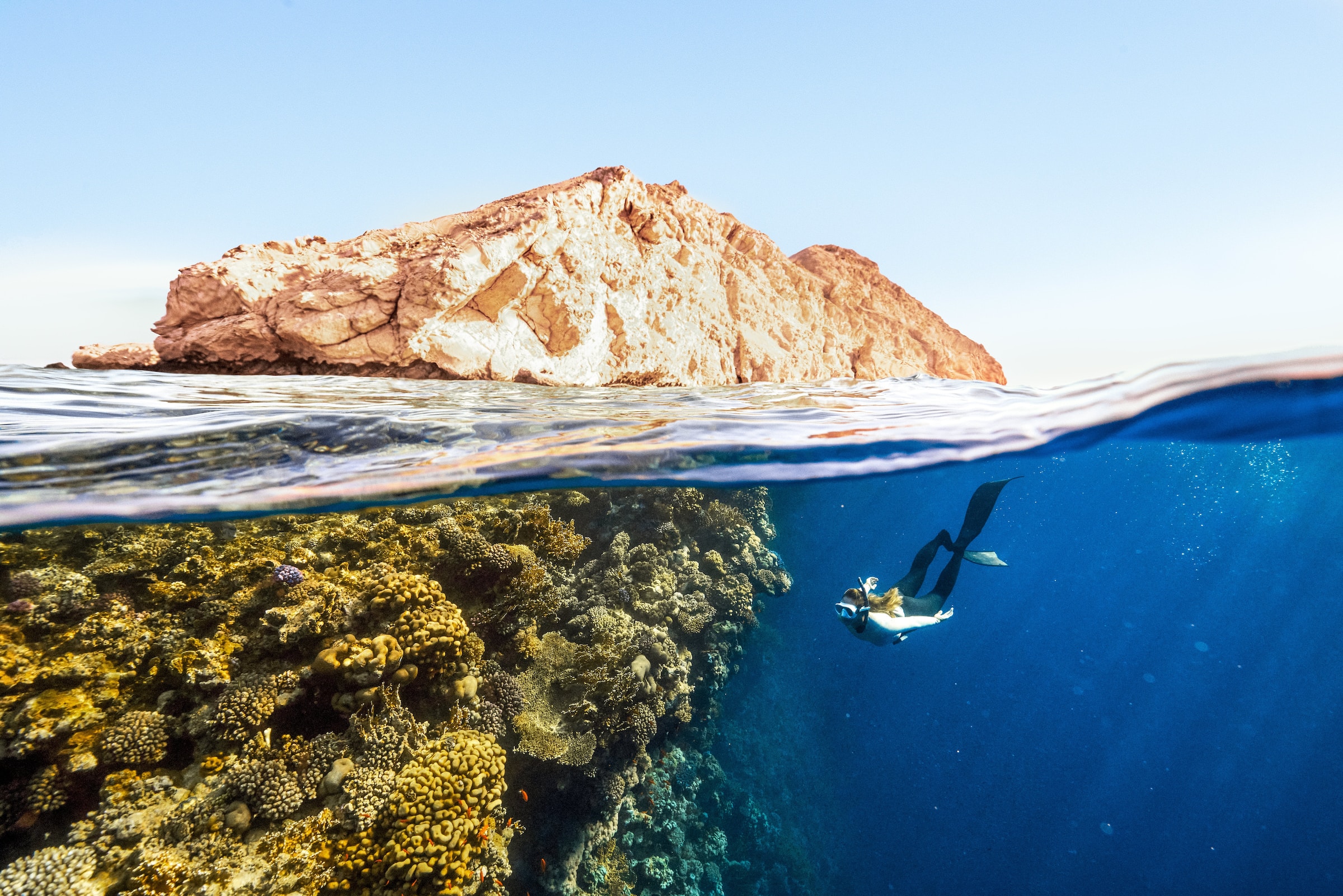 Diving(unsplash)